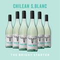 Six bottles of Chilean S.Blanc wine with a light blue background