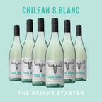 Six bottles of Chilean S.Blanc wine with a light blue background
