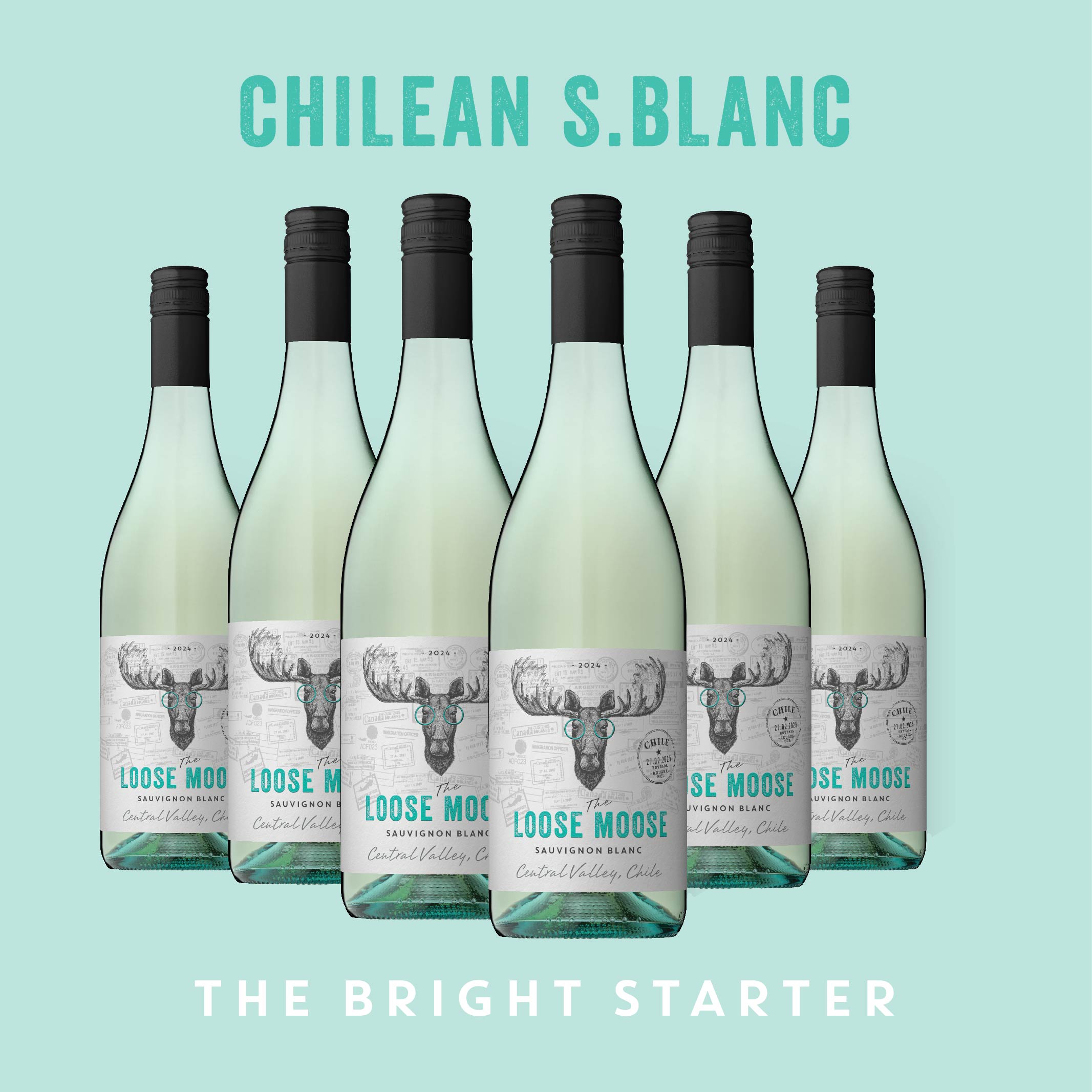 Six bottles of Chilean S.Blanc wine with a light blue background