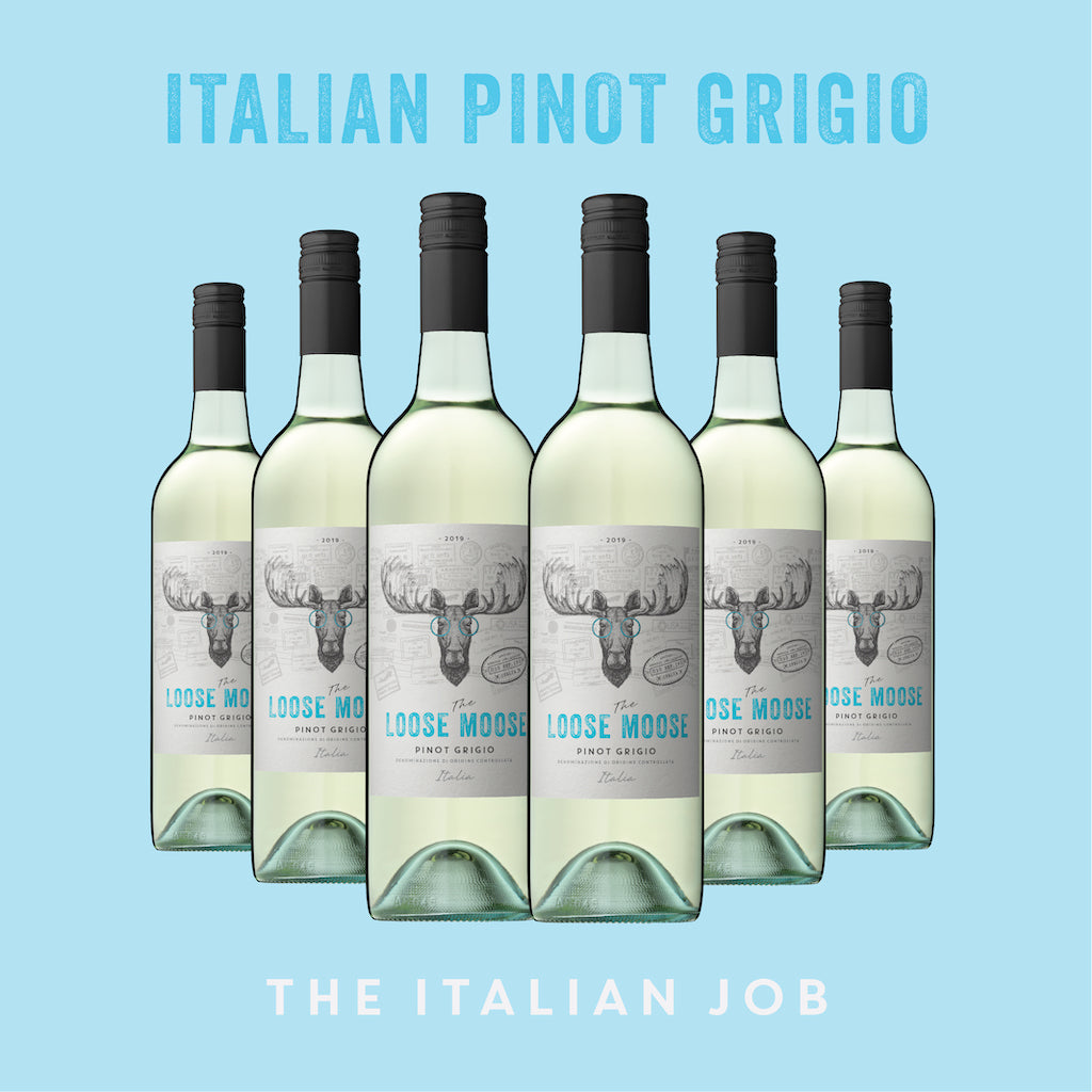Six bottles of Italian Pinot Grigio wine with a blue background
