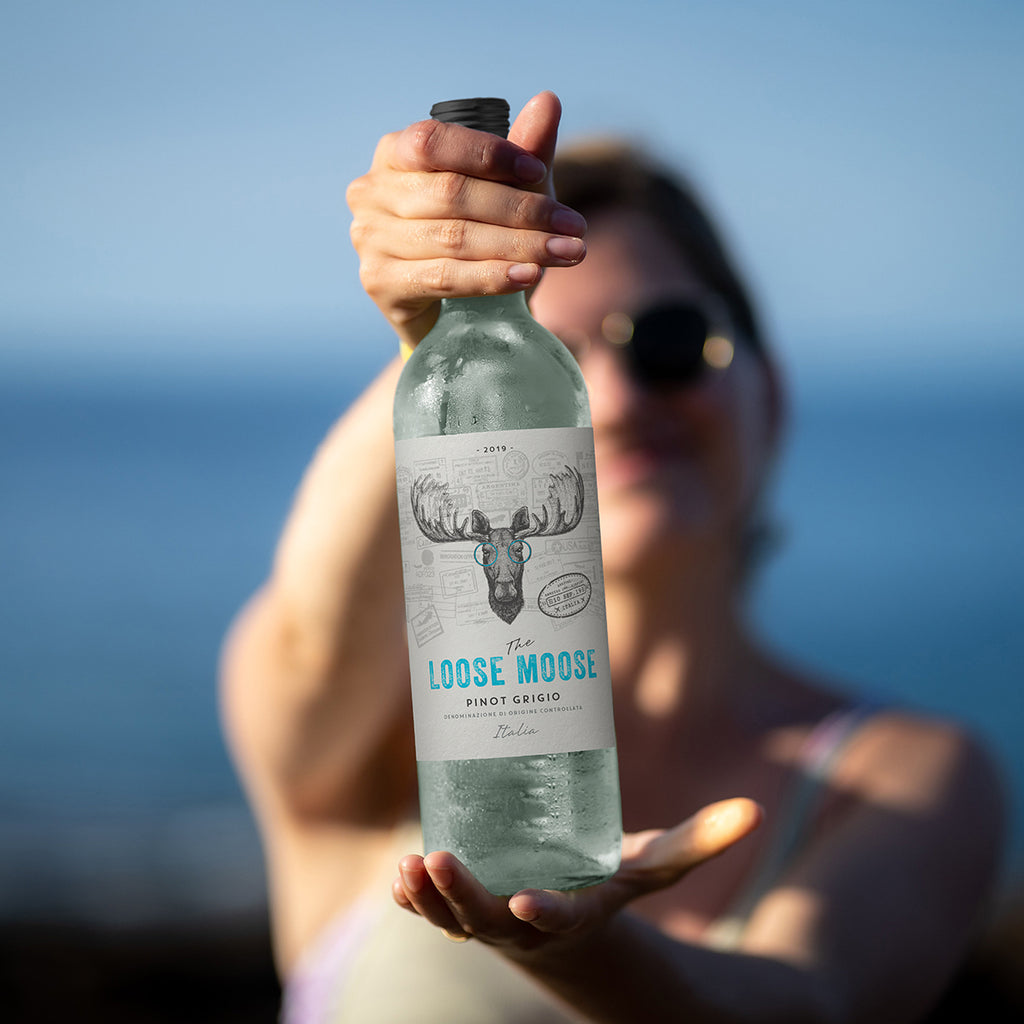 Italian Pinot Grigio x 6 bottles