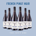 Six bottles of Sud de France Pinot Noir by Loose Moose with the text 'THE JUICY ONE' on the label, against a blue background.