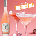 Sud de France Rose Wine lifestyle visual