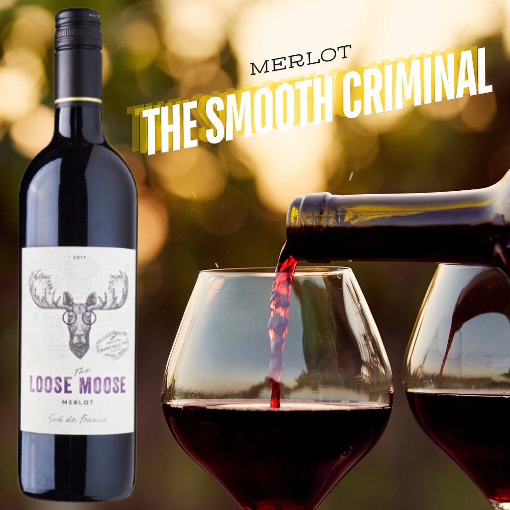 Sud de France Merlot lifestyle visual