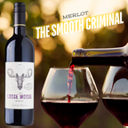 Sud de France Merlot lifestyle visual
