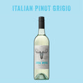 Bottle of Italian Pinot Grigio with 'Loose Moose' label on a light blue background